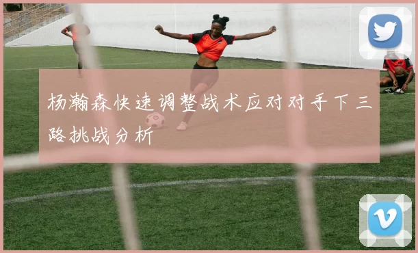 杨瀚森快速调整战术应对对手下三路挑战分析