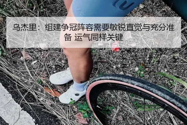 乌杰里：组建争冠阵容需要敏锐直觉与充分准备 运气同样关键（ACMILAN）
